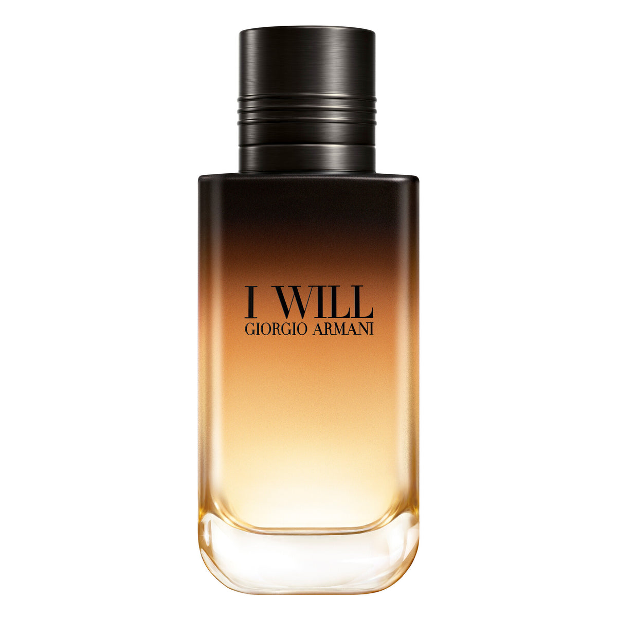 Giorgio Armani I Will 100ml Eau de Parfum bottle