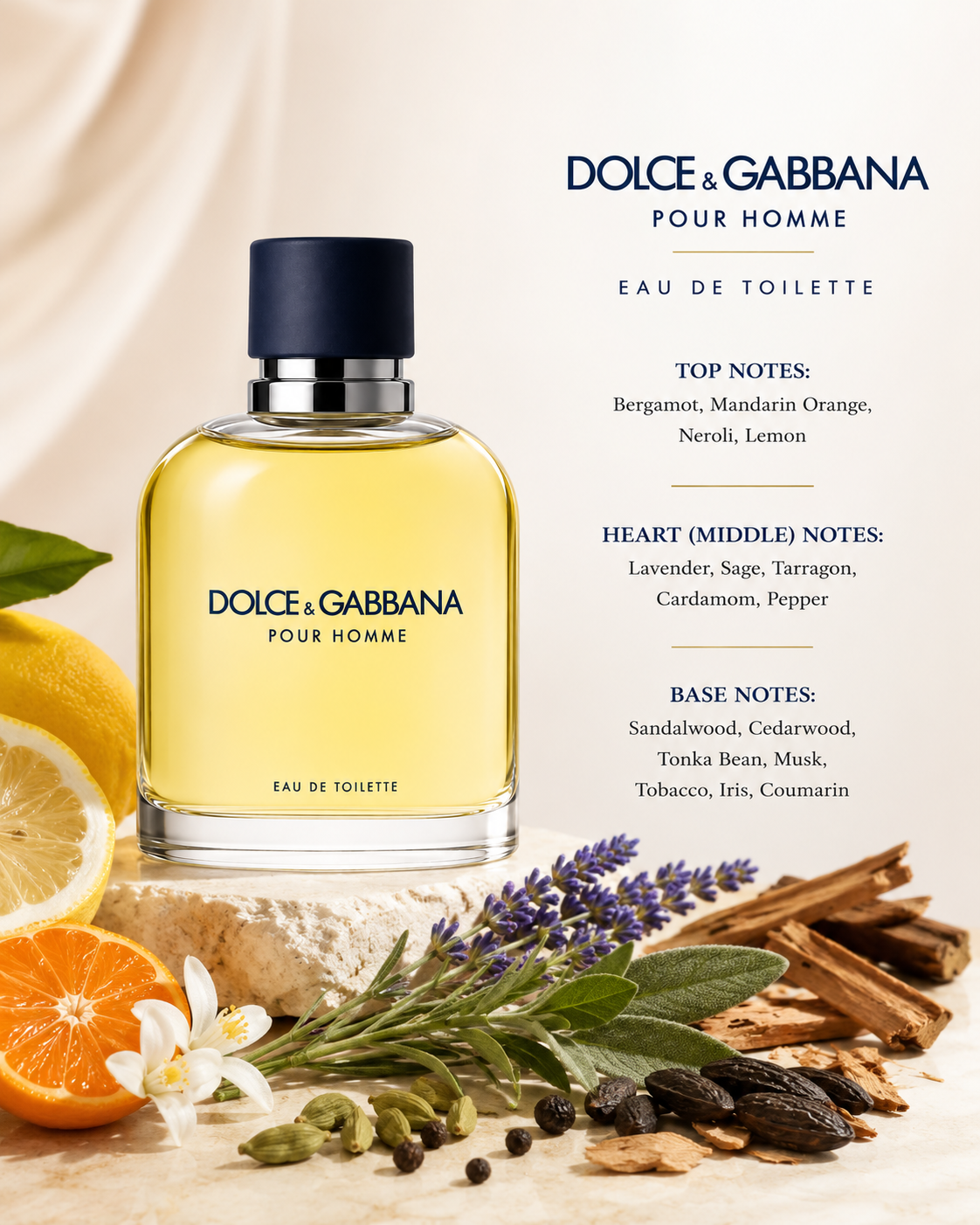 Dolce & Gabbana Pour Homme Eau de Toilette bottle with a black cap and pale yellow liquid, styled with citrus, lavender, spices, and herbs on a light beige background with product notes printed on the right.